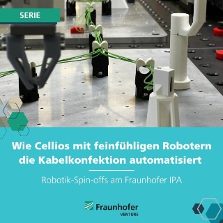 IPA Repost Cellios - 1