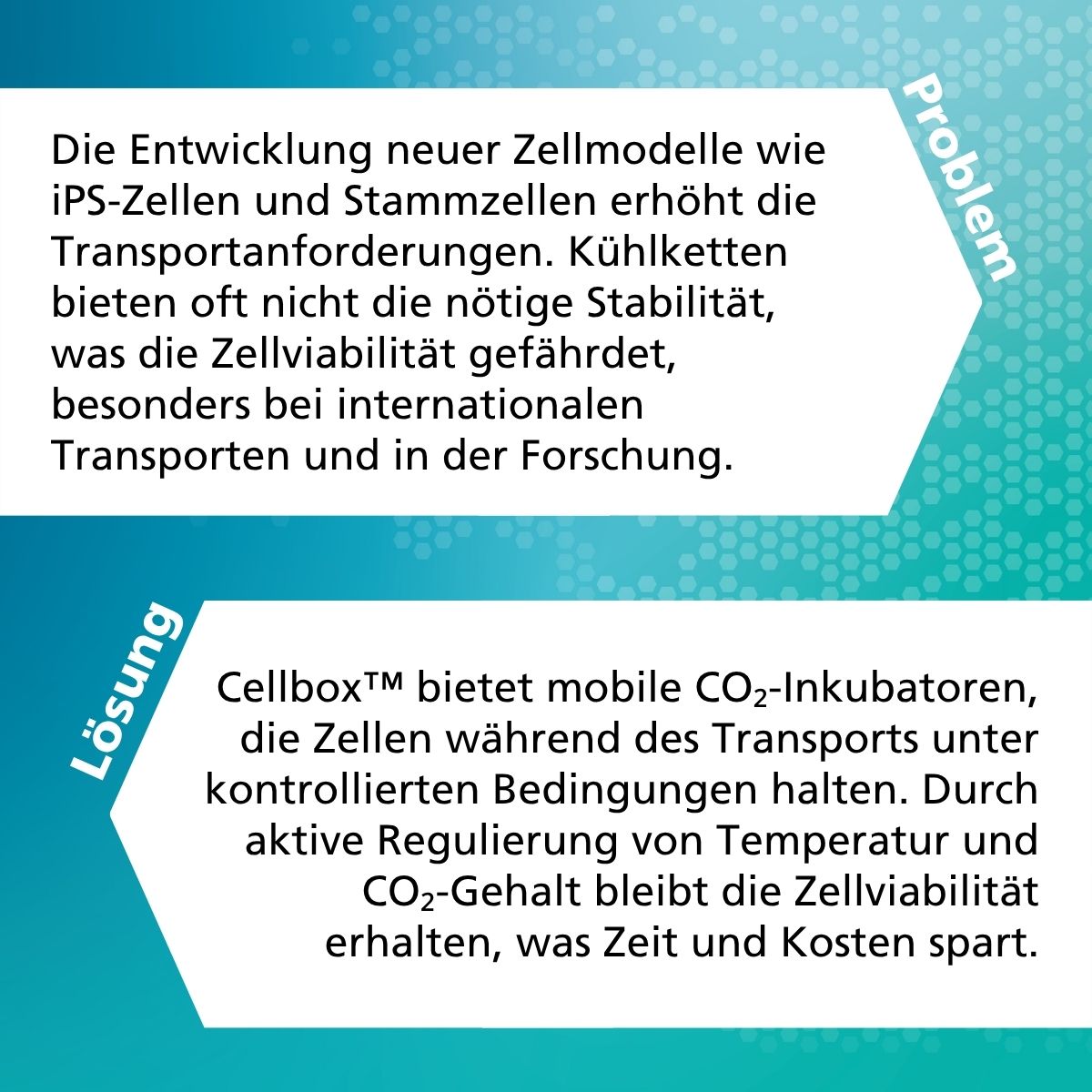 Cellbox Hub Vorstellung - 2