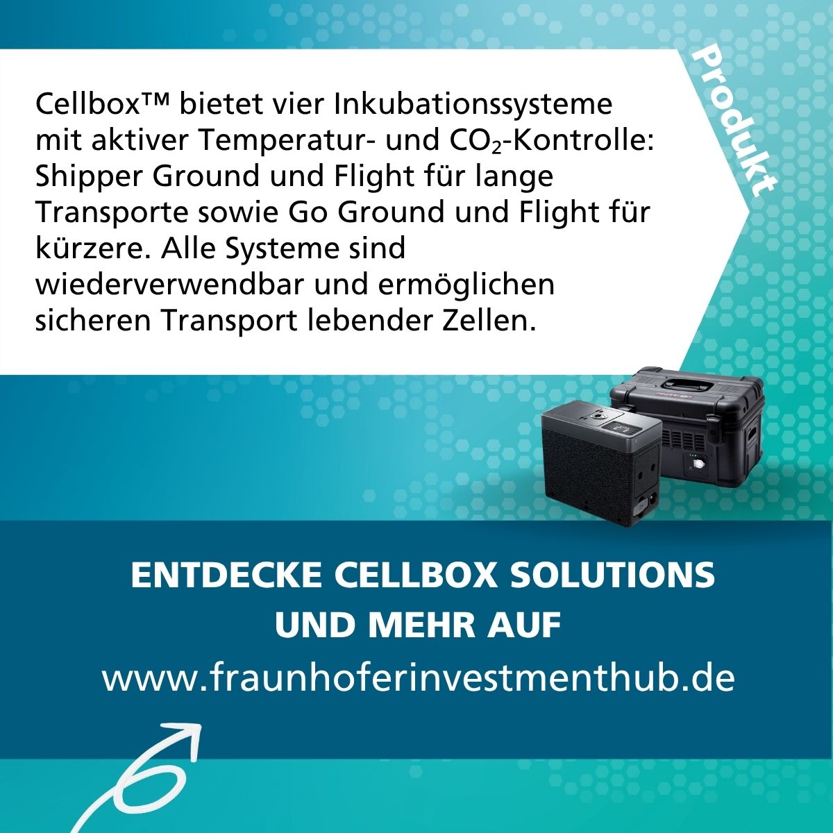 Cellbox Hub Vorstellung - 3